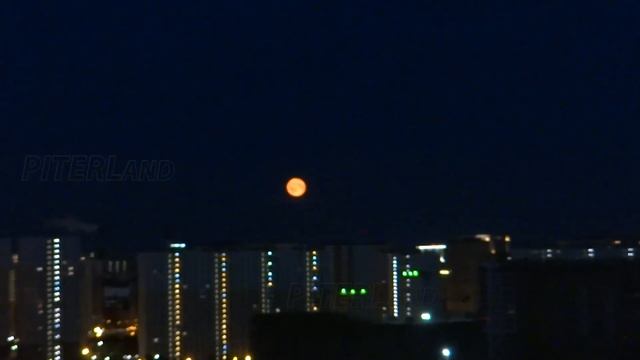 Клубничное полнолуние в Санкт-Петербурге 2023 смотреть онлайн