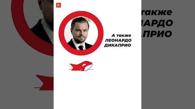 Китовая тюрьма – 1 год после освобождения всех животных смотреть онлайн