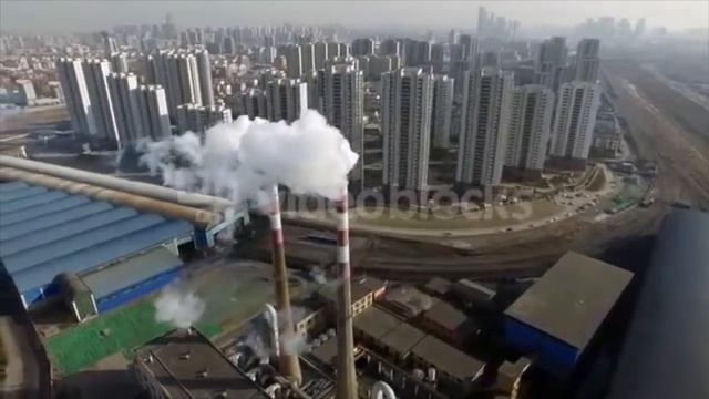 Rhinopithecus Roxellana Conservation Project