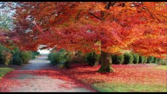 Fender Rhodes Suite in 3 Parts By Jack West Fall in New England Boston смотреть онлайн