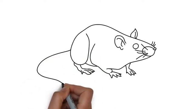 Как нарисовать крысу | How to draw a rat смотреть онлайн