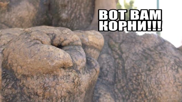 ЛИССАвБОНе - 2 день - Блошиный рынок и Собор Лиссабона смотреть онлайн