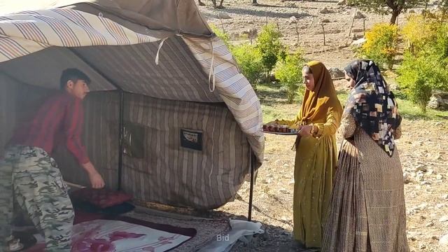The second part of courting Farzaneh, a nomadic girl смотреть онлайн