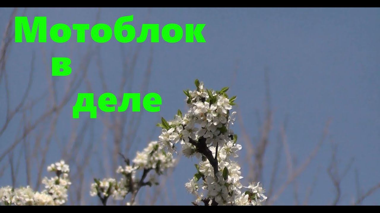 #66 Дела огородные