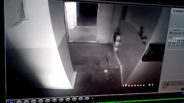 Кража велосипедов в Бердске смотреть онлайн