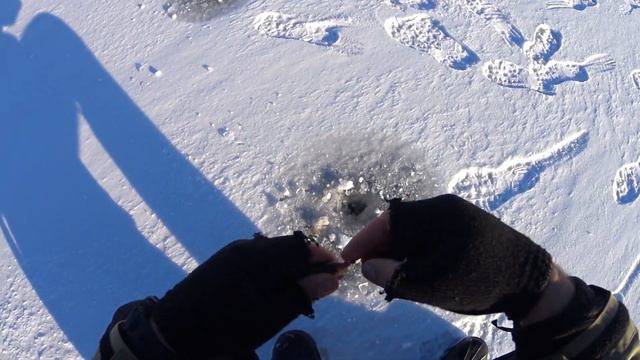 ПЕРВЫЙ ЛЁД ЗИМНЯЯ РЫБАЛКА!!! Ловля окуня плотвы на зимнюю удочку в солнечный день. смотреть онлайн
