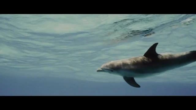 Билет в рай (2022) - Трейлер.mp4 смотреть онлайн