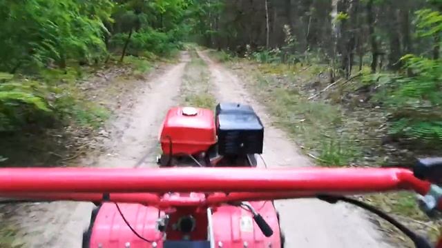 Поездка в лес ели добрался до дороги смотреть онлайн