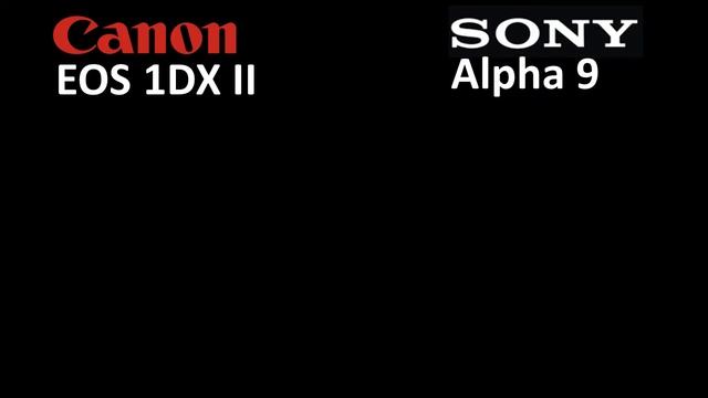 CANON 1DX mark II VS SONY a 9 [] camera comparison смотреть онлайн