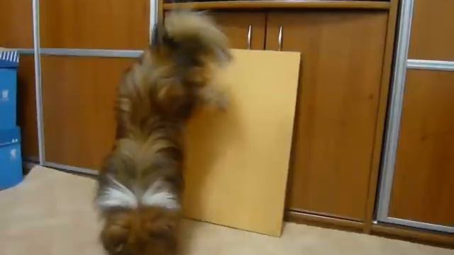 Смайл - "Вверх" (обучение) смотреть онлайн