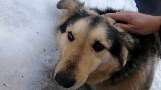 Трансляция образов и смыслов - подготовка к торсионному эксперименту вокруг Кремля- Глобальная волн смотреть онлайн