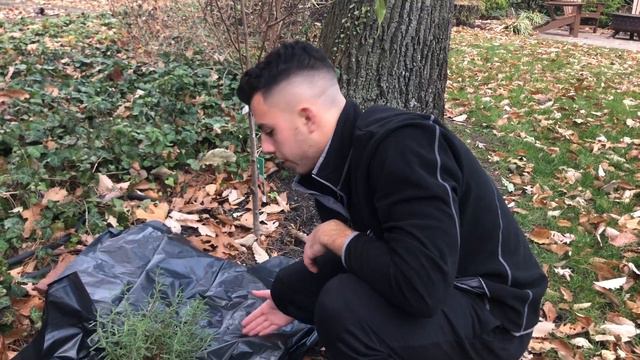 How to Protect Rosemary Plants During the Winter смотреть онлайн