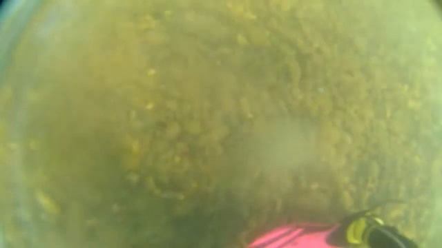 Ныряем с аквалангом в 6 лет.