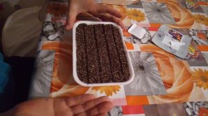 Посев виолы(Анютины глазки) семенами на рассаду, проще не бывает