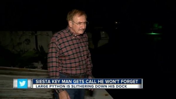 Siesta Key homeowner catches 12-foot python on his dock