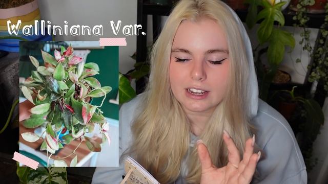 My RARE 2021 Houseplant Wishlist! Philodendron, Hoya, Monstera, Anthurium, Begonia, & Orchids!