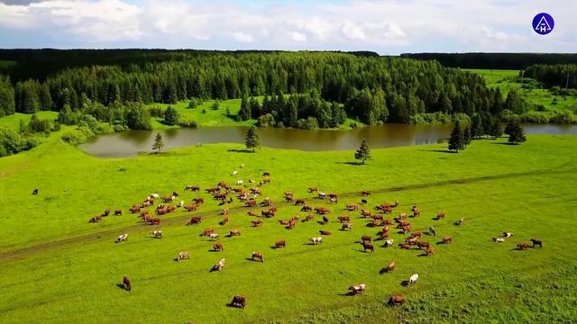 К ВОПРОСУ ЭТИМОЛОГИИ И ЭТНИЧЕСКОЙ АТРИБУЦИИ ЭТНОНИМОВ «АС» И «АЛАН» смотреть онлайн