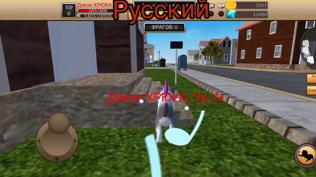 Американский игрок-Cat Simulator - Animal Life VS Русский игрок-Cat Simulator - Animal Life смотреть онлайн