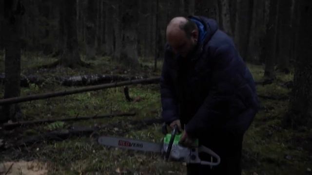 Бензопила REDVERG RD-GC62-20 в работе смотреть онлайн