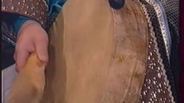 О Алтай Москва Андрей Малахов 2002г смотреть онлайн