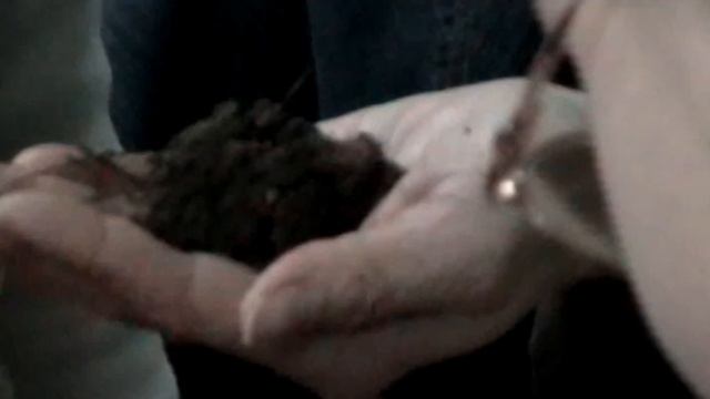 Экспериментальная деятельность. смотреть онлайн