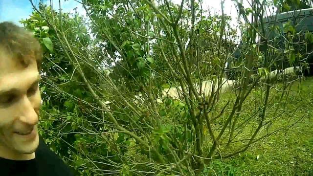 деревня смотреть онлайн