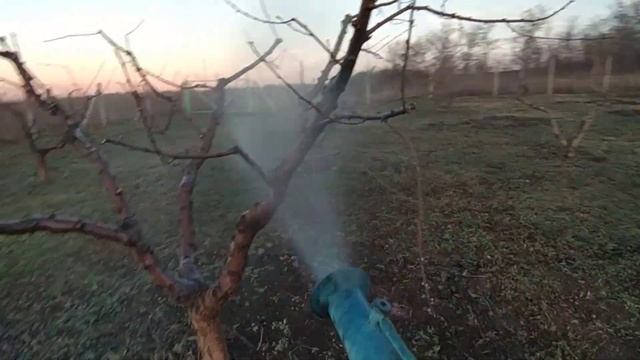 Что делать после обрезки сада? Работа не заканчивается! смотреть онлайн