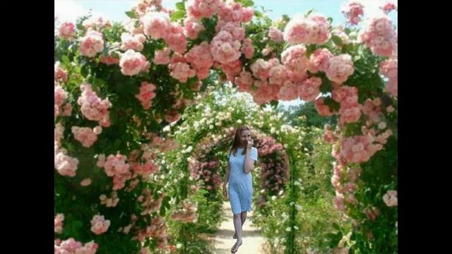 Видео на стих Ирины Колос "Белокрылый Ангел" смотреть онлайн