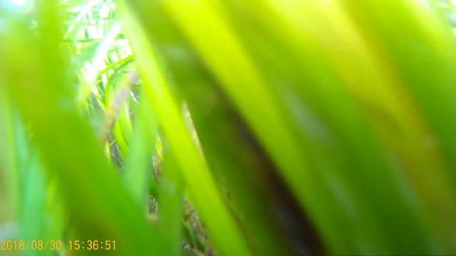 Холмск море 2 смотреть онлайн