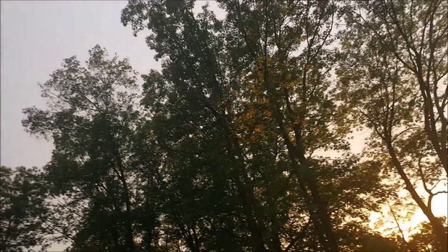 Outdoor Flight: Syma X5SC - What Wind Bug? смотреть онлайн