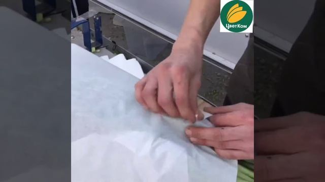 Как сделать правильный банч с тюльпанами. Часть 2. смотреть онлайн