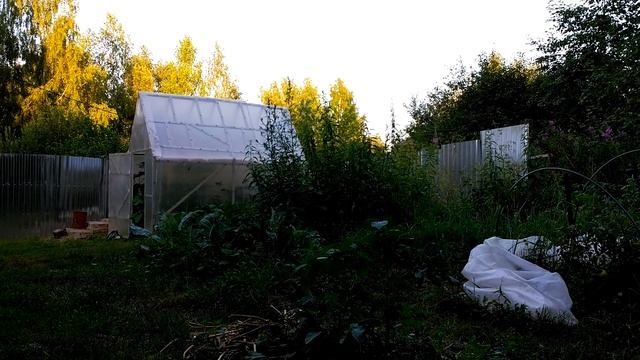ЕВАНГЕЛИЕ от МАТФЕЯ.глава-12,13,14. смотреть онлайн