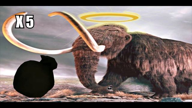 Максвелл кот на разных скоростях