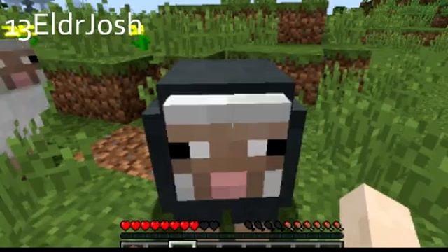SHEEP GOES CRAZY?! MINECRAFT 1.12.2 смотреть онлайн