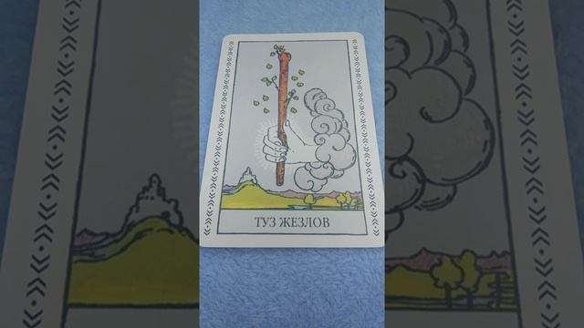 номерные карты ( туз жезлов ) смотреть онлайн