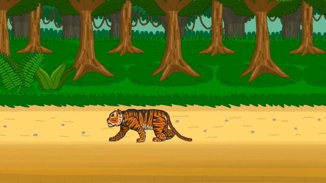 THE BIG CATS TOURNAMENT ANIMATION смотреть онлайн