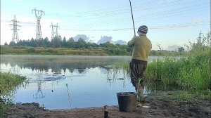 Лещ зашёл в Реку . Ловлю на Фидер  Больших Лещей реки Волхов.
