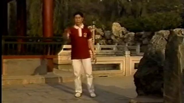 the shibashi master performing смотреть онлайн