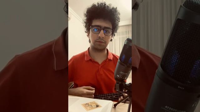 Nick Cave - Into my arms (Ukulele Cover) смотреть онлайн