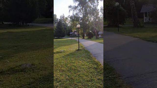 Дорога к Озеру Ая. Горный Алтай. Утро.6.00 2020. Турбаза " Березка". смотреть онлайн