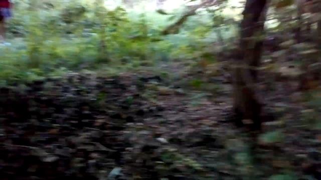 Россошь, Чёрная Калитва, замор рыбы 2, канава смотреть онлайн