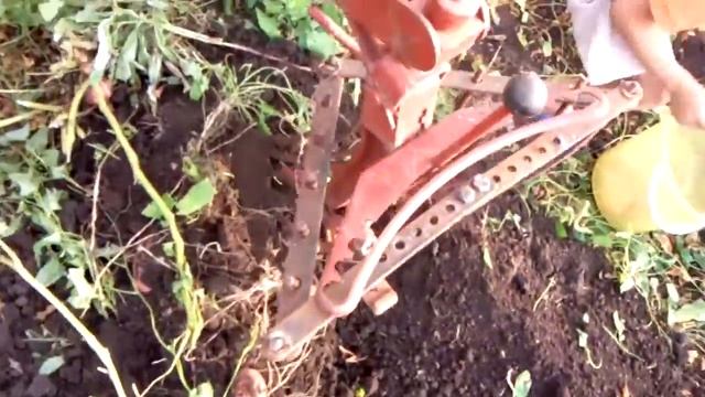 Уборка картофеля самодельным минитрактом переломка смотреть онлайн