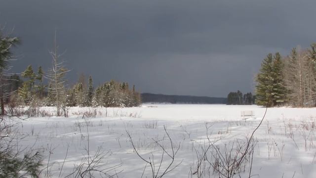 11 years has passed since Video Games turned into Chemtrails, time flies when your having fun. смотреть онлайн