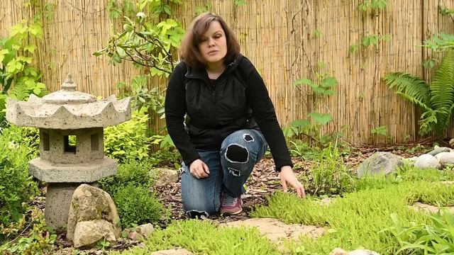 Как создать идеальный сад для 