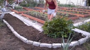 Красивый цветник на участке. Делаем клумбы для цветов своими руками.