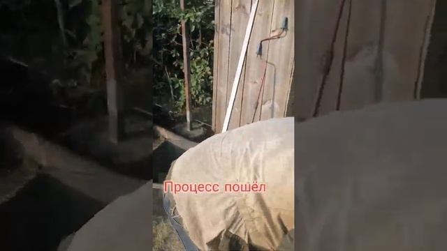 забор на даче смотреть онлайн