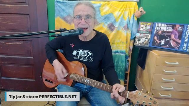 David Gans 2/13/24 solo electric смотреть онлайн