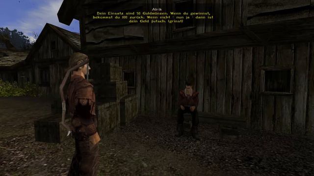 Let's Play Gothic 2 #13 Der Hafen [German] смотреть онлайн