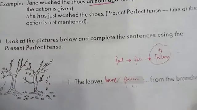 Vocabulary Unit 17 Present Perfect Tense - Elementary One Ms Moho смотреть онлайн