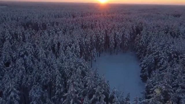 Улетайте вОроны смотреть онлайн